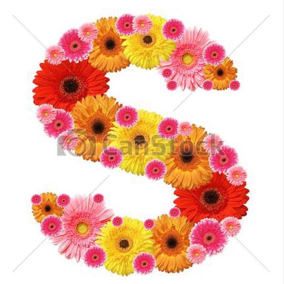 Meet your Posher, Stacey - Picture 1 of 1